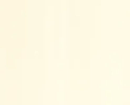 647 mdf agt hg euro est decorative suceava